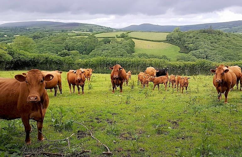 Why are you 18 times more likely to be killed working in agriculture?